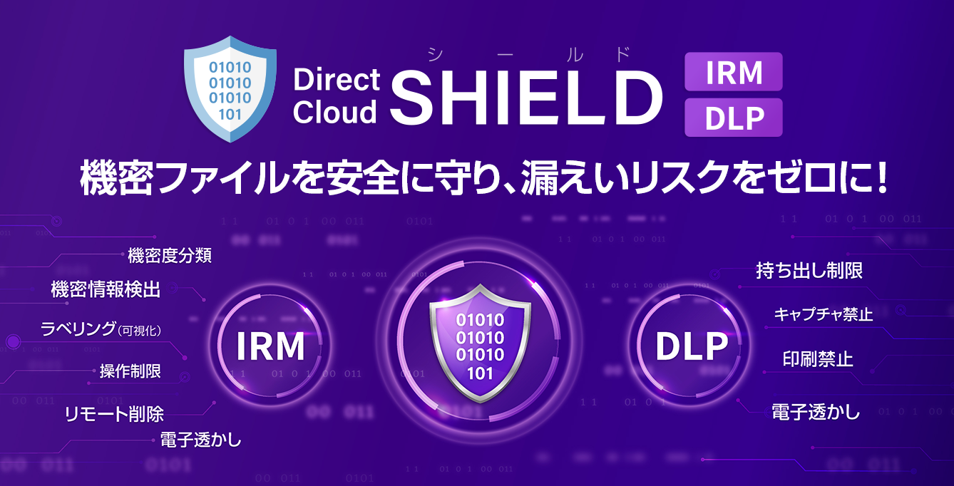 DirectCloud-SHIELD