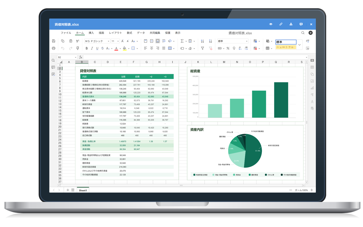 Spreadsheets laptop