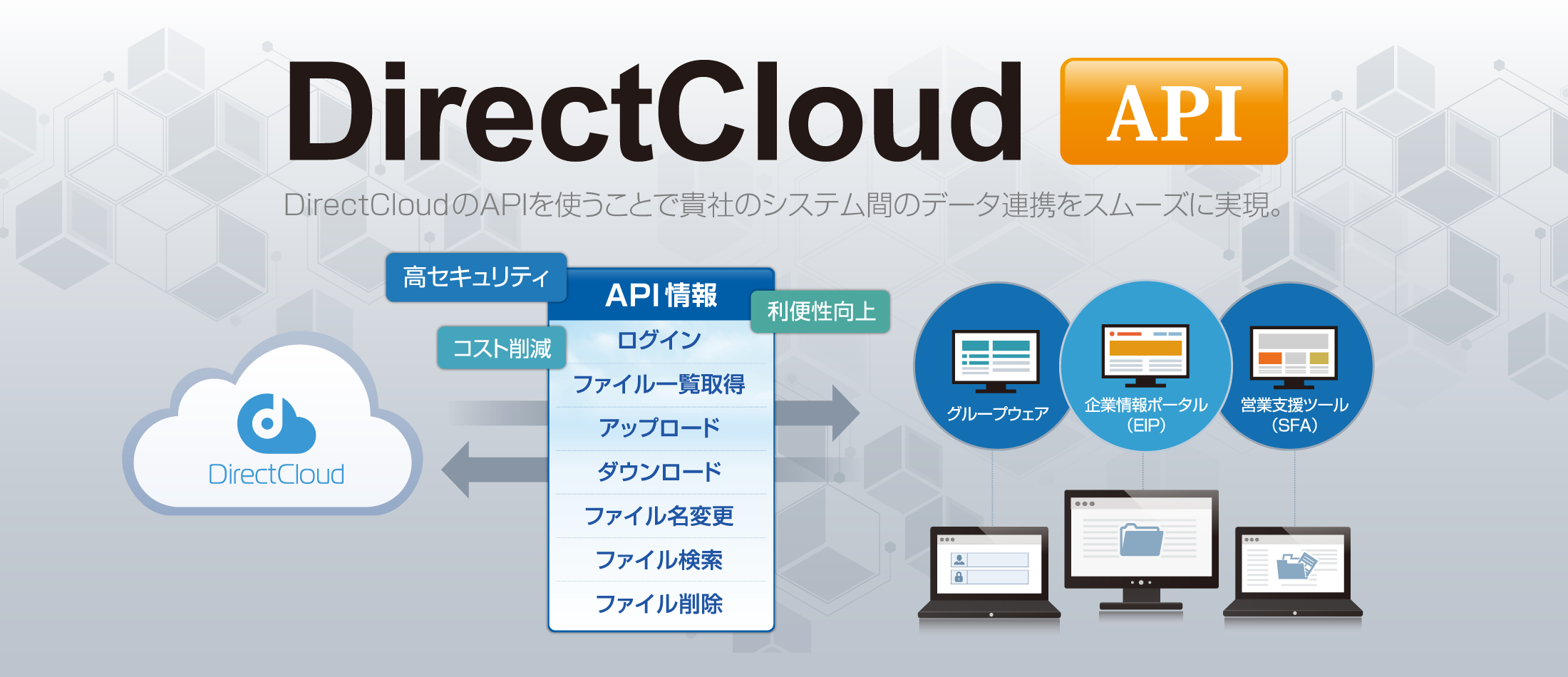 DirectCloud-BOX のAPI連携により、さらに広がるファイル共有の可能性